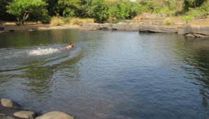 Homestay and Shalmala River Near Sirsi