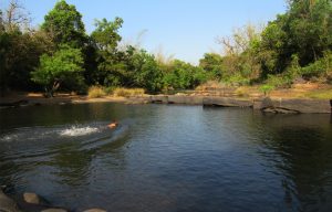 Swim in river near our homestay in Sonda - Sirsi , Uttara Kannada